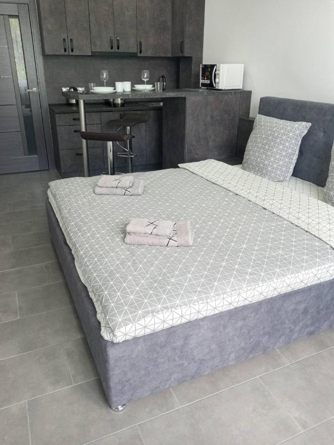 Luxury Central Apartment Uzjhorod Eksteriør bilde